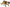 QUEZZLE Erstaunliches Kappadokien